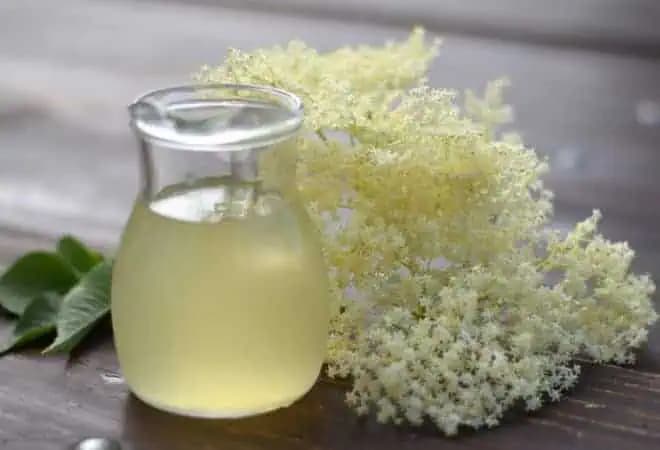 STARÝ recept na bazový sirup: Podporuje chudnutie, odstraňuje toxíny z tela a predchádza dokonca ôsmim CHOROBÁM!