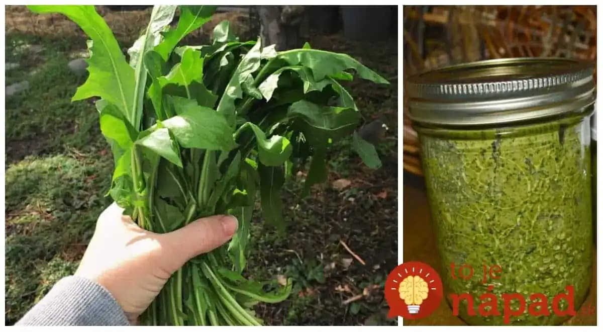 Natrhajte pár listov mladej púpavy a pridajte olej a cesnak: Púpavové pesto pomôže vašim kostiam, zregeneruje pečeň a naštartuje imunitu!