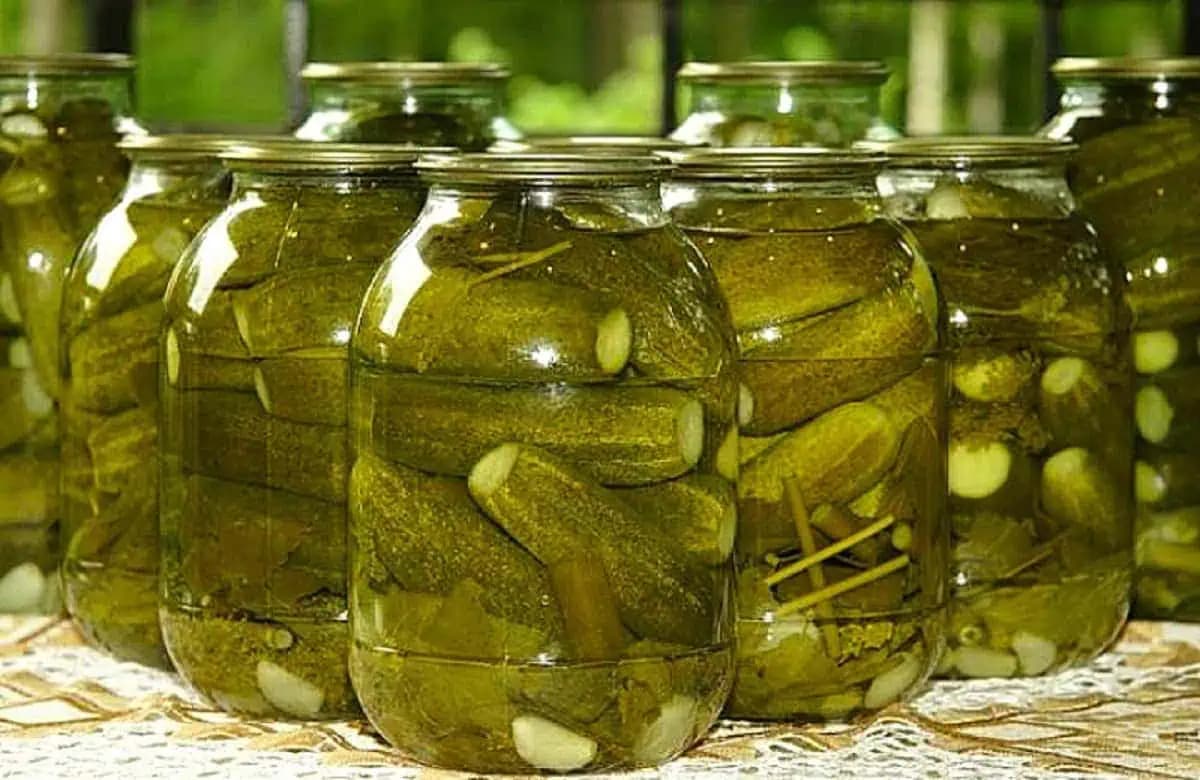 Marinované uhorky BEZ sterilizácie: Fantasticky chutné, rýchle a chrumkavé!
