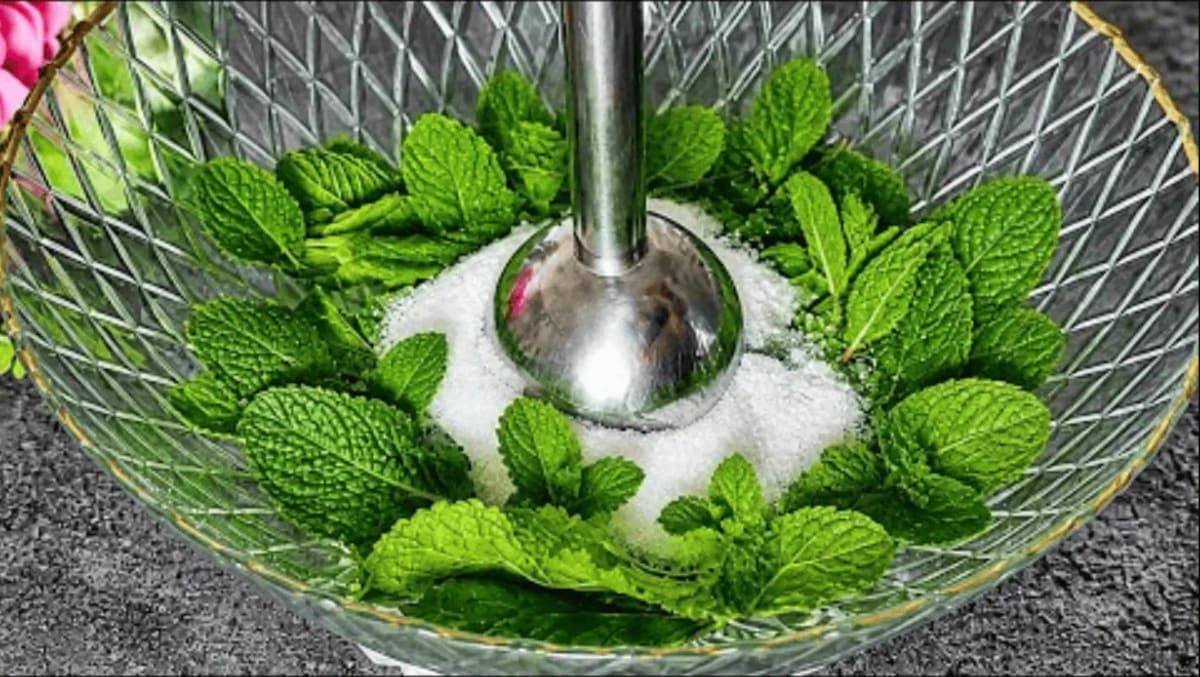 Čerstvú MÄTU natrhám, rozmixujem s cukrom a robím takto každý týždeň: Výsledok vás okamžite nadchne (RECEPT)!
