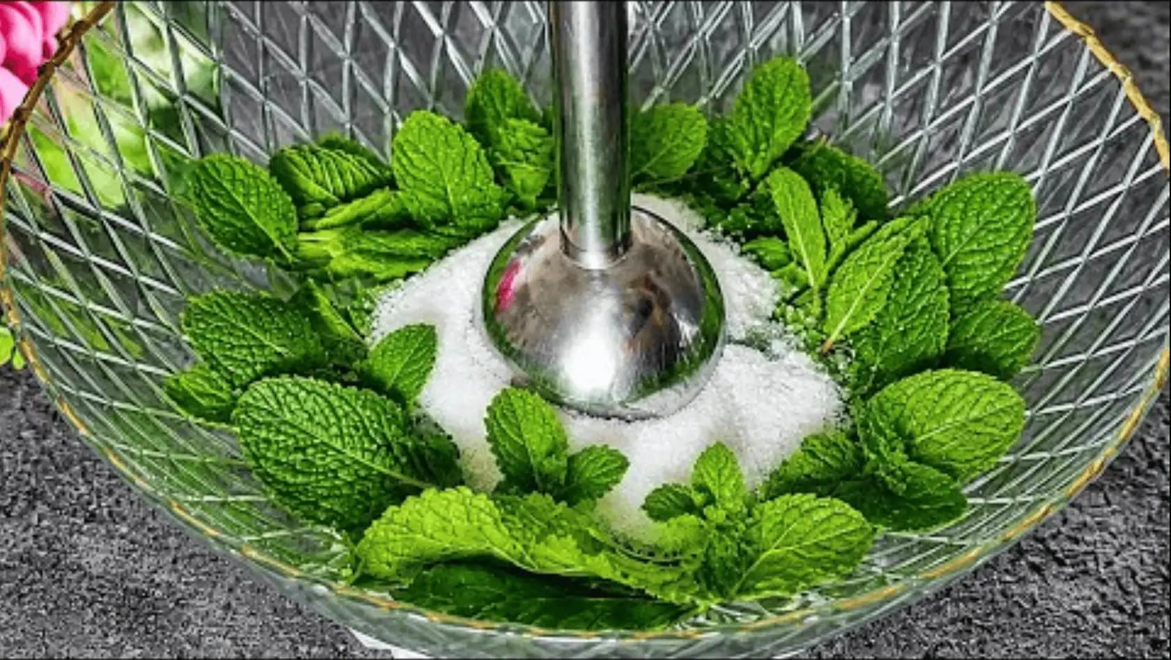 Čerstvú MÄTU natrhám, rozmixujem s cukrom a robím takto každý týždeň: Výsledok vás okamžite nadchne (RECEPT)!