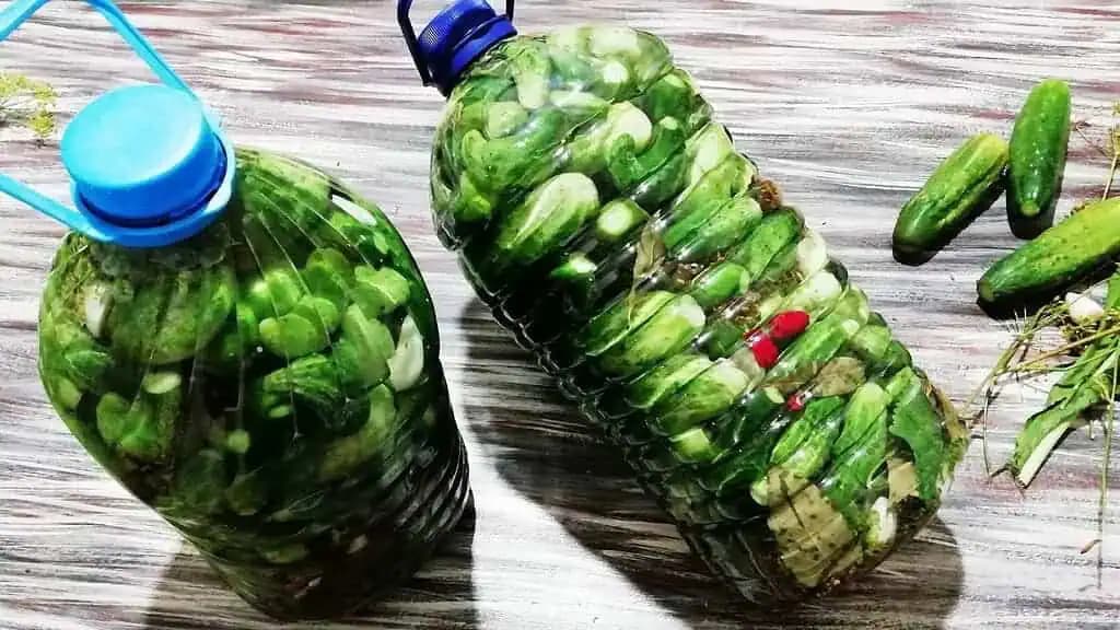 UHORKY už roky nezaváram, ale skladujem LEN takto: Maďarské STUDENÉ uhorky – sú chrumkavé a fantasticky chutia!