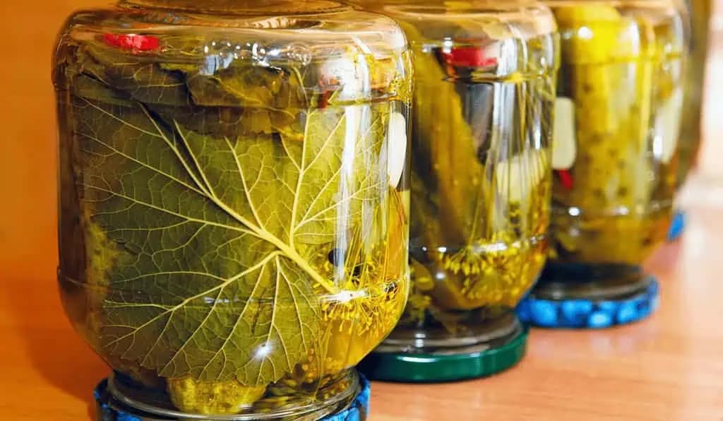 Recept na domáce UHORKY podľa 100 rokov starého receptu: Lepšie som v živote nejedla!
