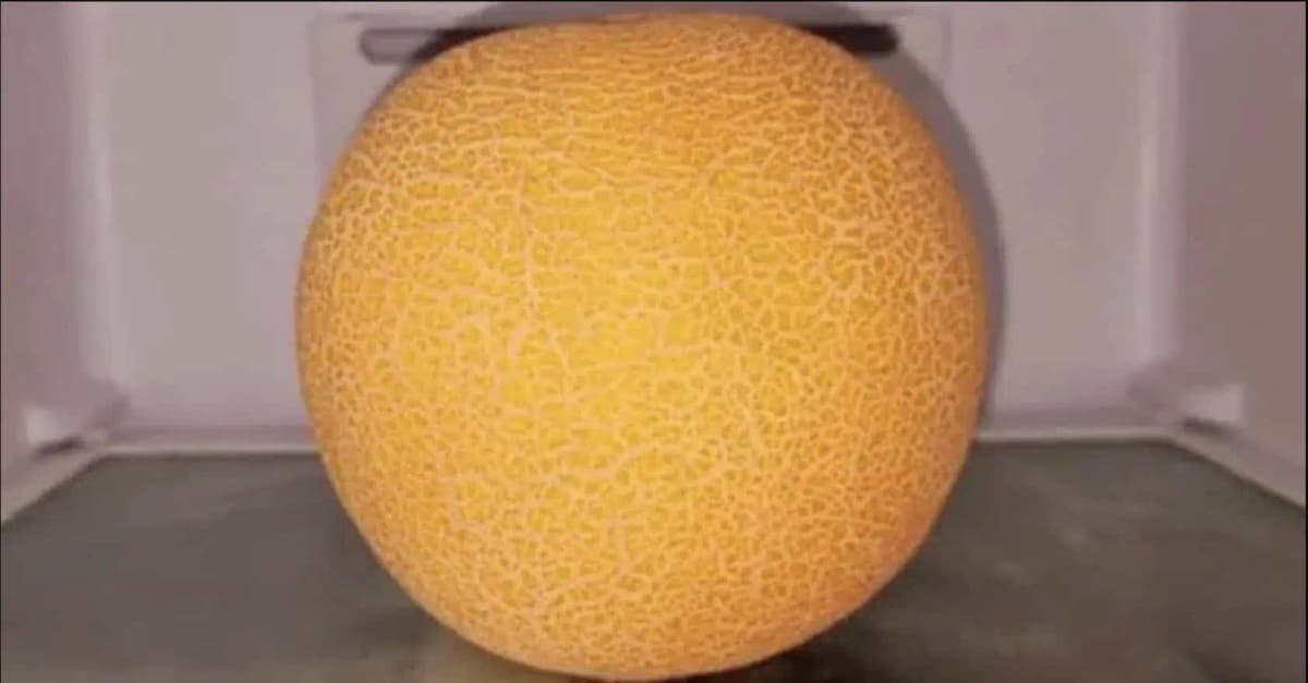 Melón mám v lete skoro každý deň, ale toto by mi nenapadlo ani vo sne: Dajte celý kus do MRAZNIČKY, toto z neho môžete mať!
