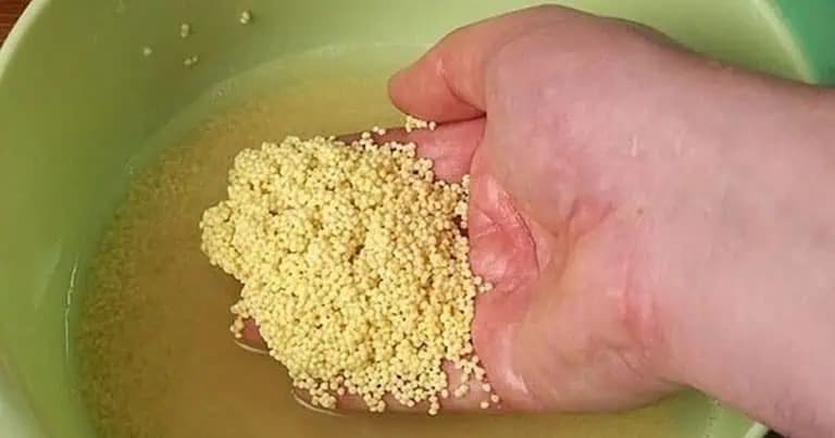 Zabudnite na drahé lieky, táto potravina je hotový zázrak: Záchrana pre pankreas, kosti a prevencia infarktu!