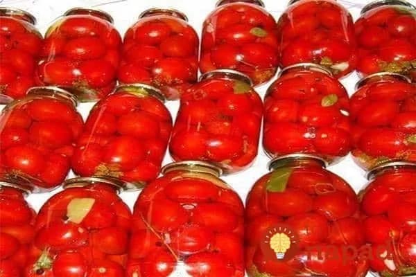 Paradajky v pohároch: Najchutnejší spôsob ako uchovať paradajky na zimu, bez zavárania!