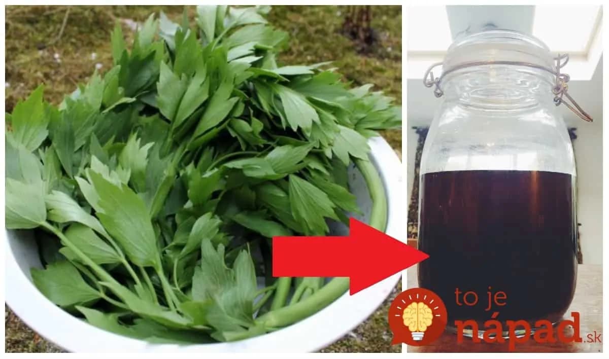 Domáce tekuté korenie z liečivého ligurčeka: Keď máte tento starý RECEPT, už nepotrebujete žiadne iné dochucovadlá!