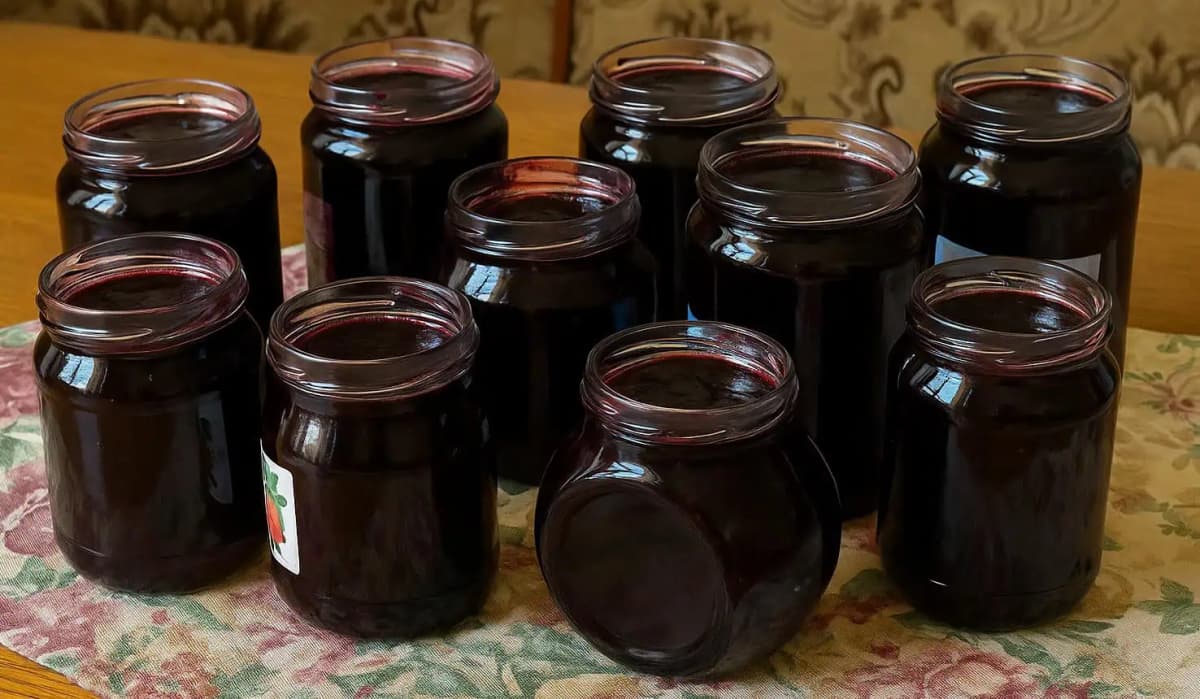 NIE obyčajný džem, ale najsilnejší liek na priedušky: Zázrak z čiernych ríbezlí bez varenia a sterilizácie!