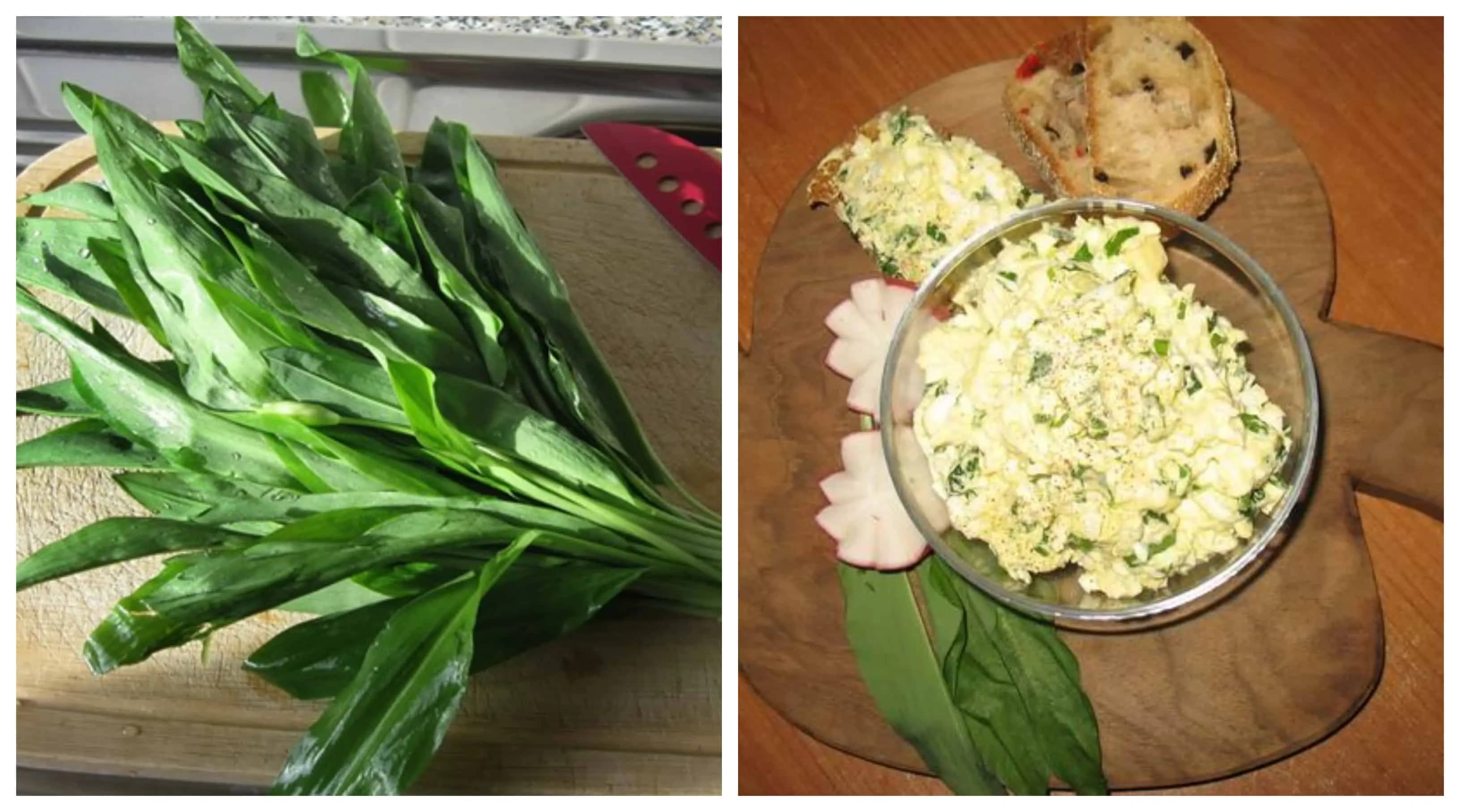 Nesmrteľná vajíčková pomazánka vylepšená s medvedím cesnakom- fantastická chuť: Robí sa vždy v tej najväčšej mise!