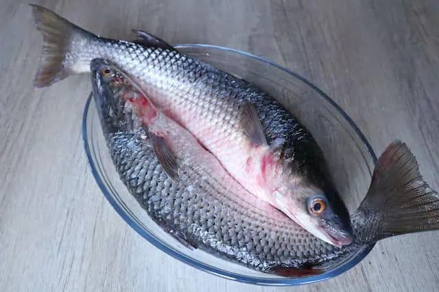 Výborný trik vďaka ktorému očistíte ryby za 1 minútu: Ušetrite si čas a urobte to takto!