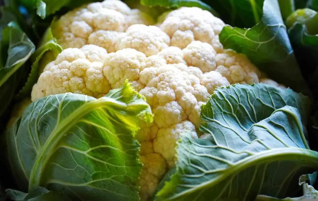 Babičkin recept na KARFIOL ohromil každého: Zabudnite na vyprážanie a skúste toto – ľahké, rýchle a jednoduché!