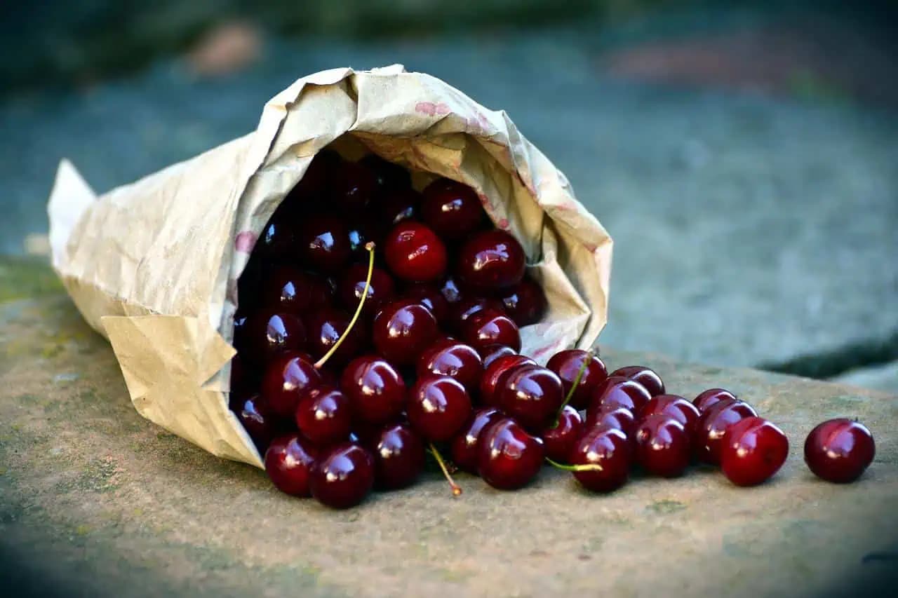 Čerešňový koláč, ktorému nebudete vedieť odolať: Voňavá, chutná a nadýchaná dobrota!