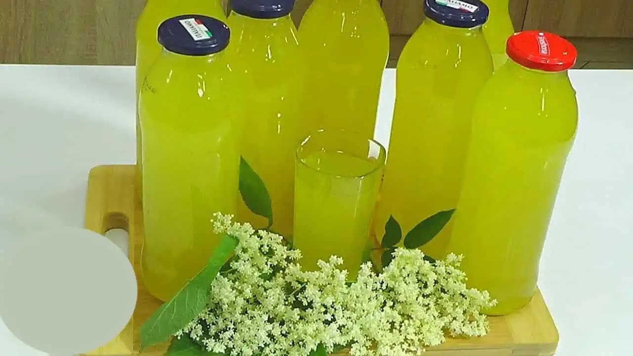 LIMONÁDA z bazových kvetov – zdravá a nesmierne chutná: TU je recept a mal by ho skúsiť každý, kto je chorľavý a bez energie!