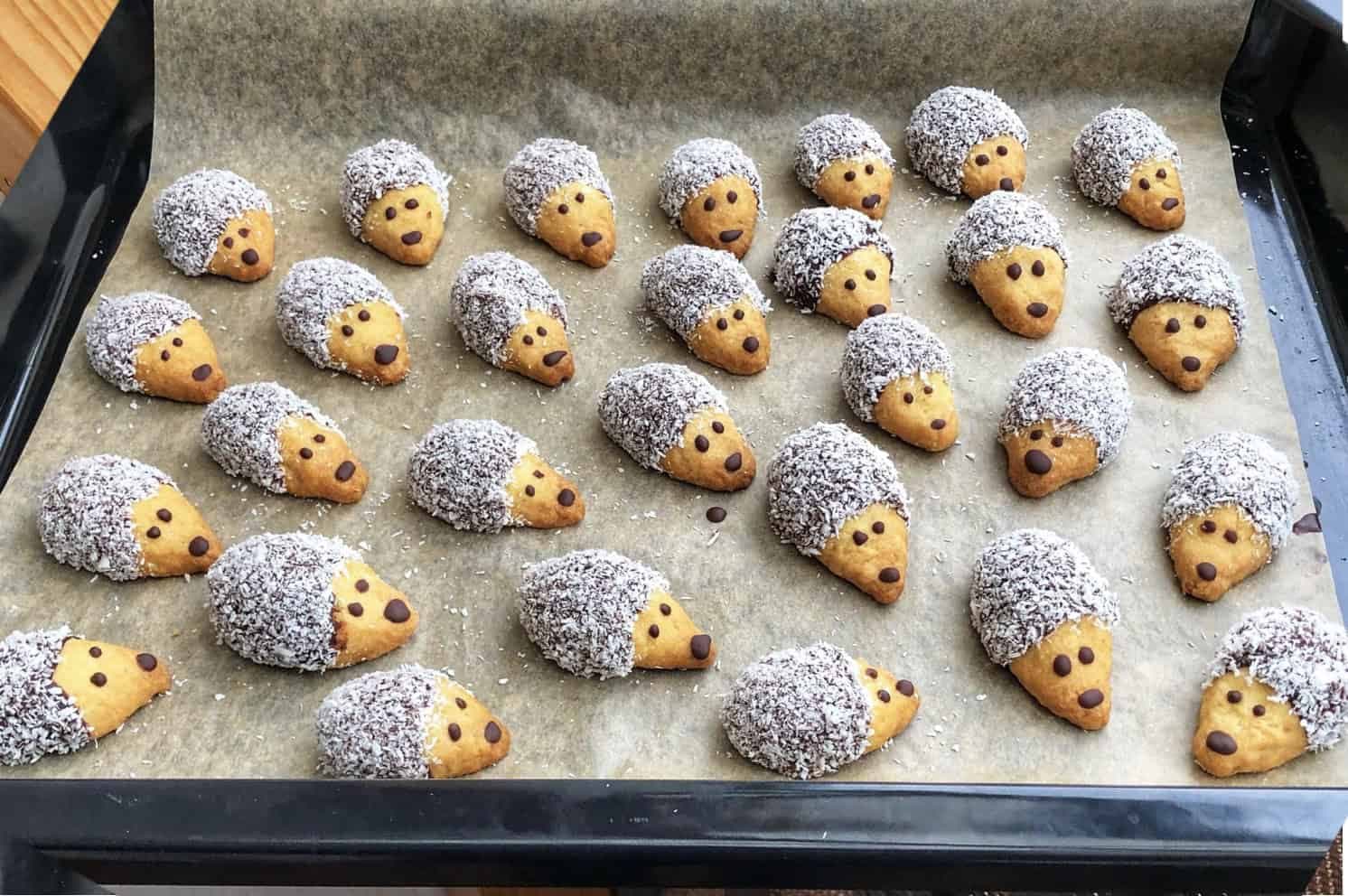 Kokosoví JEŽKOVIA: Najkrajšie koláčiky (nielen) na vianočný stôl!