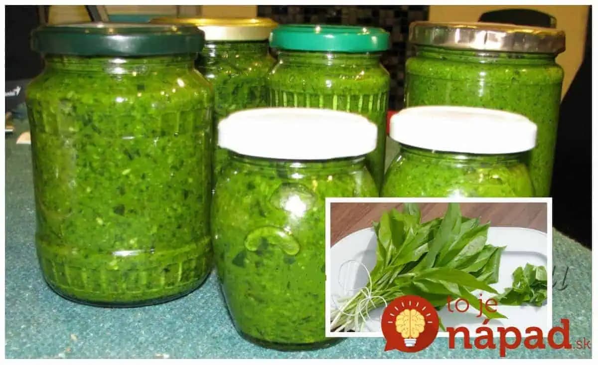 Mega chutné pesto z medvedieho cesnaku – 5 minút roboty: Keď ho dáte na chlebíčky, netreba už ani šunku, fantastické!