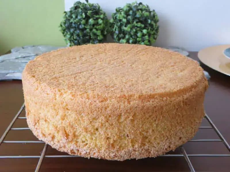 Kúzelná piškóta na koláče, zákusky aj tortu, BEZ gramu múky: Recept priamo od výborného cukrára, chuť je úžasná!