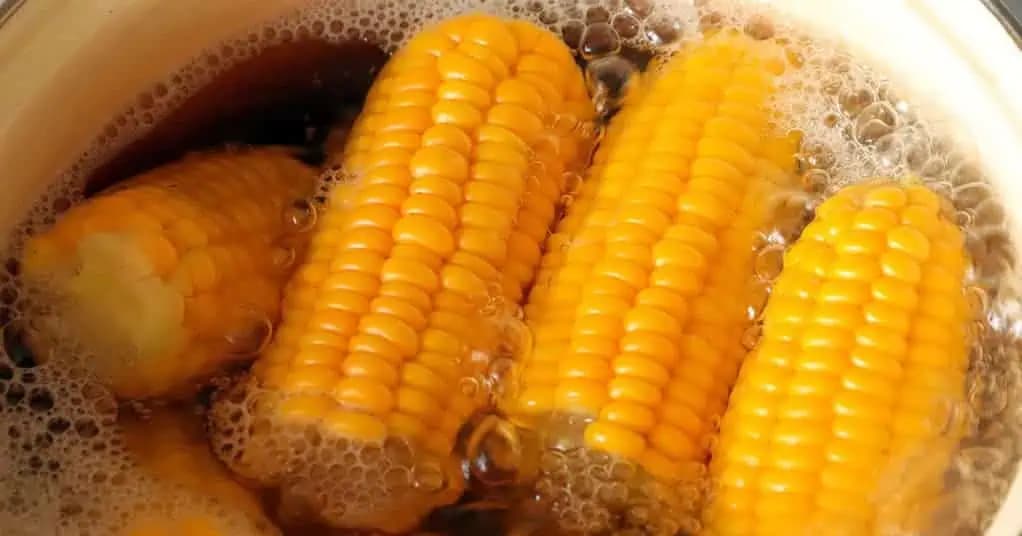 TAJOMSTVO, ako uvariť kukuricu tak, aby bola sladká, mäkká a fantasticky chutná: LEPŠIU som nikdy nejedla!