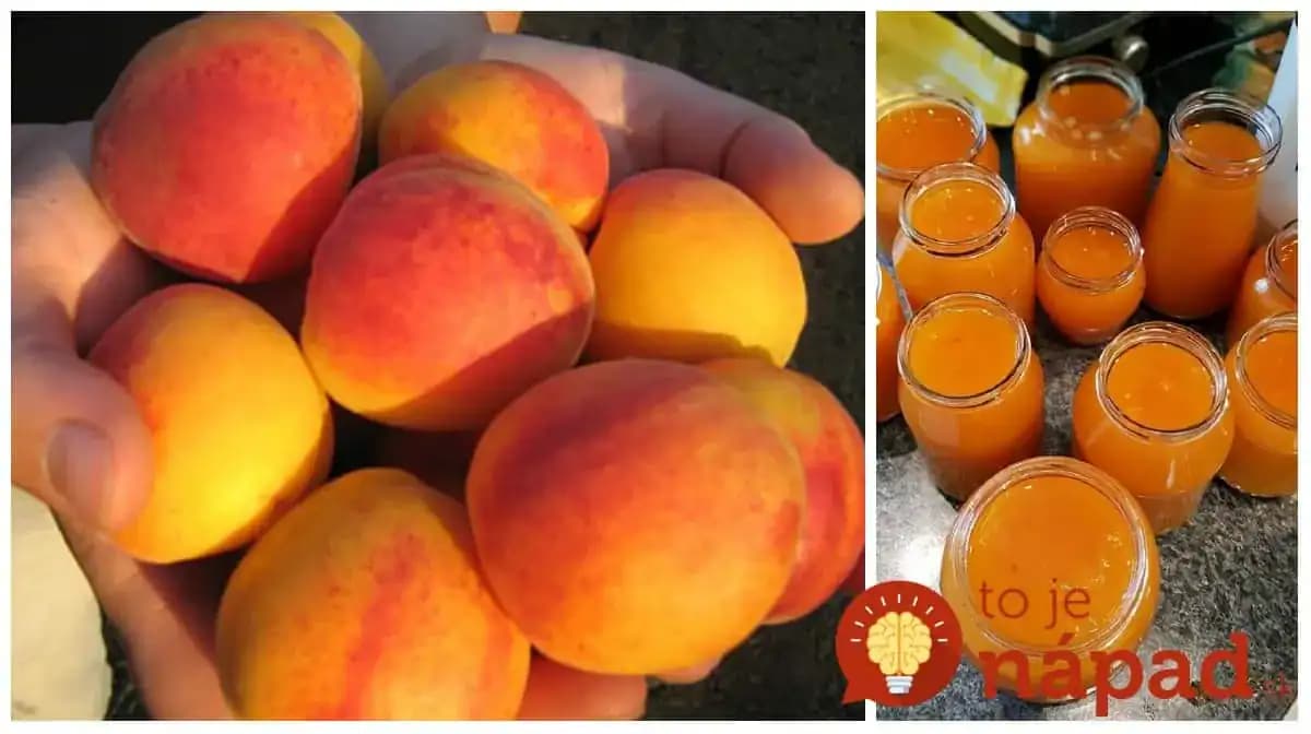 Žiaden želírovací cukor ani chémia: Neprekonateľný recept na marhuľový džem podľa prababky, taký v obchode nekúpite!