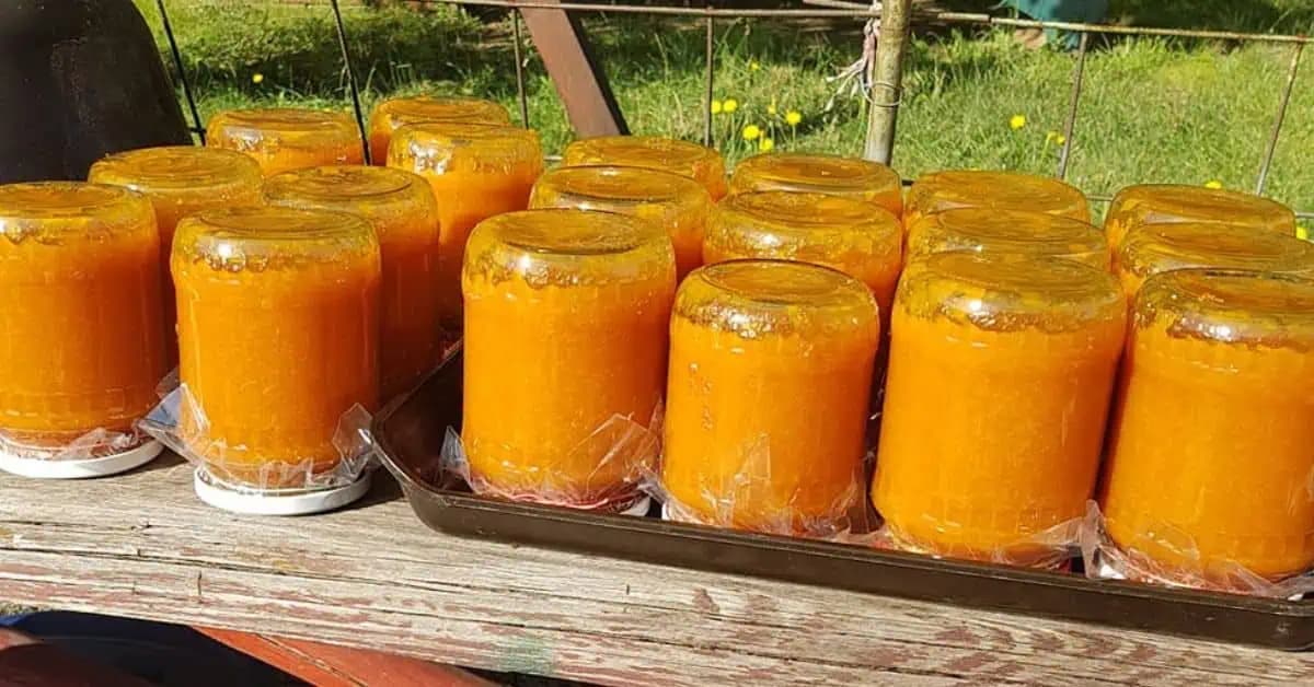 Marhuľový džem bez konzervačných látok: Takto ho pripravujem už roky a vydrží celú zimu!