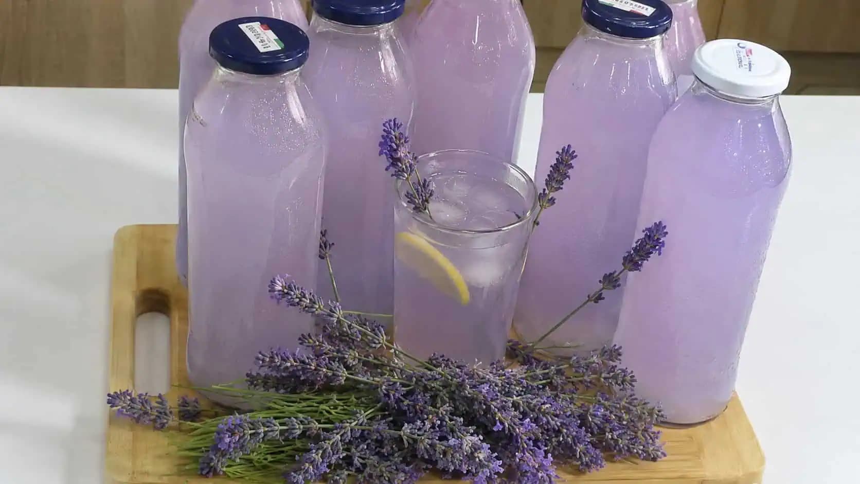 LIMONÁDA z levanduľových kvetov – zdravá a nesmierne chutná: TU je recept a mal by ho skúsiť každý, kto je chorľavý a bez energie!